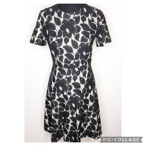 Ann Taylor black white floral lace overlay fit & flared dress size 4 Tall 4T